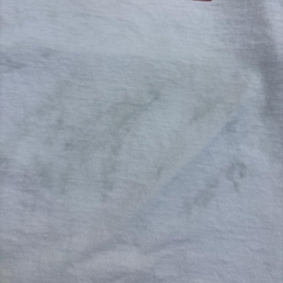 Men’s Vintage 90s Fruit of the Loom Pi Kappa Alpha single stitch graphic tee - Picture 7 of 7